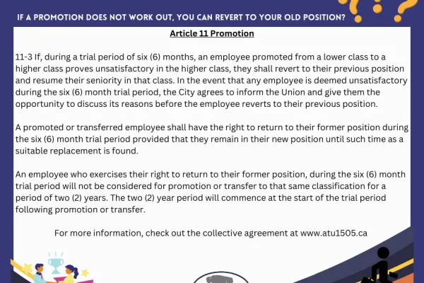 DYK promotion